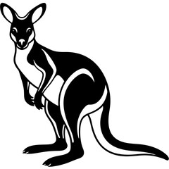 kangaroo white background 