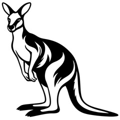 kangaroo white background 