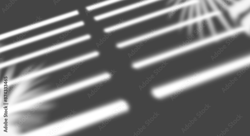 Poster leaves and window shadow overlay effect