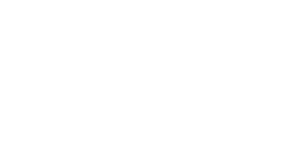 Leaves and window shadow overlay effect 