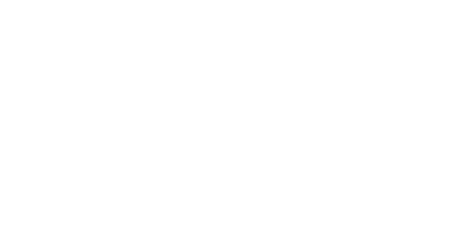 Leaves and window shadow overlay effect 