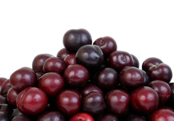 Cherry plums isolated on white, room for text.