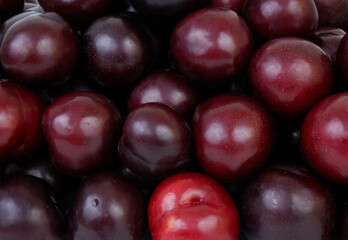 Ripe cherry plums as background	