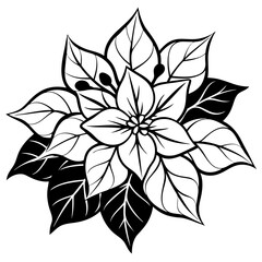 line art bougainvillea flower isolated on white