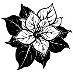 line art bougainvillea flower isolated on white