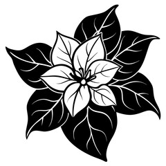 line art bougainvillea flower isolated on white