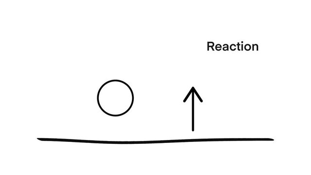 Newton Third Law of Motion Infographic Diagram showing action reaction force direction example, Action reaction force pair infographic diagram, Newton&rsquo;s Law of Motion for physics science education