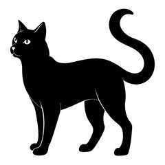 cat vector illustration, cat isolated on white, cat silhouette, cat vector art