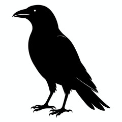 crow vector illustration, crow isolated on white, crow silhouette, crow vector art
