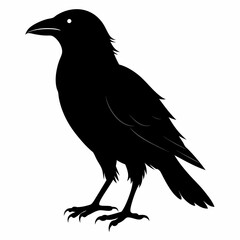 crow vector illustration, crow isolated on white, crow silhouette, crow vector art
