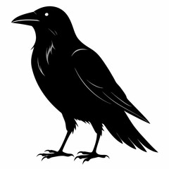 crow vector illustration, crow isolated on white, crow silhouette, crow vector art
