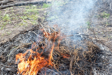 Burning of dry branches and grass in the garden. Cleaning of the garden territory