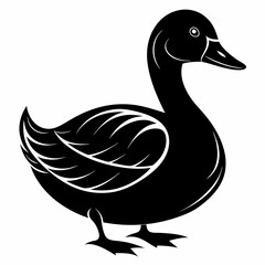duck  vector illustration, duck  isolated on white, duck  silhouette, duck  vector art