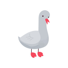 Goose. Isolated farm bird on white background.