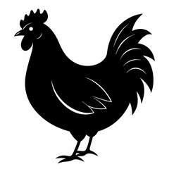 Hen vector illustration, rooster isolated on white, hen silhouette, chicken vector art, hen and rooster