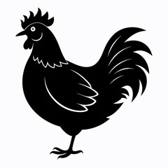 Hen vector illustration, rooster isolated on white, hen silhouette, chicken vector art, hen and rooster