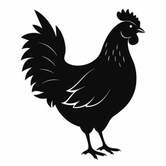 Hen vector illustration, rooster isolated on white, hen silhouette, chicken vector art, hen and rooster