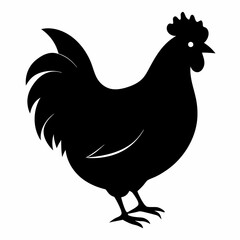 Hen vector illustration, rooster isolated on white, hen silhouette, chicken vector art, hen and rooster