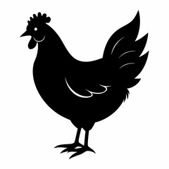 Hen vector illustration, rooster isolated on white, hen silhouette, chicken vector art, hen and rooster