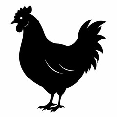 Hen vector illustration, rooster isolated on white, hen silhouette, chicken vector art, hen and rooster