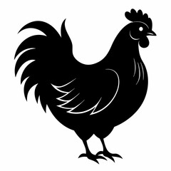Hen vector illustration, rooster isolated on white, hen silhouette, chicken vector art, hen and rooster