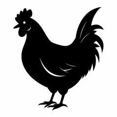 Hen vector illustration, rooster isolated on white, hen silhouette, chicken vector art, hen and rooster