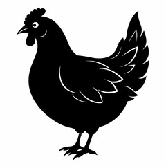 Hen vector illustration, rooster isolated on white, hen silhouette, chicken vector art, hen and rooster
