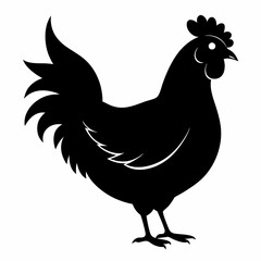 Hen vector illustration, rooster isolated on white, hen silhouette, chicken vector art, hen and rooster