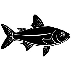 Scad vector illustration, Fish isolated on white, scad silhouette, scad vector art