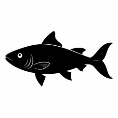 Scad vector illustration, Fish isolated on white, scad silhouette, scad vector art