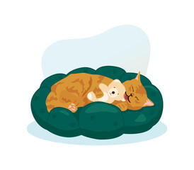 Happy cat playing with a toy on her bed.