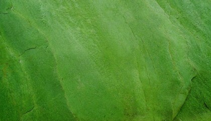 green color stone texture background, full frame texture background