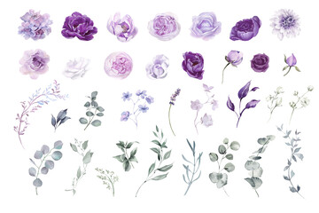 Purple flower isolated clipart PNG. Watercolor floral set on transparent background. Violet, mauve, lilac, lavender flowers and greenery collection for wedding invitation, greeting card, print design © Nataliya Kunitsyna