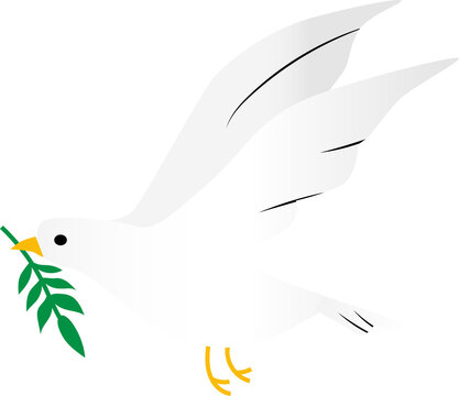 Paloma con olivo simbolo de libertad png fondo transparente