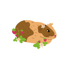 cute guinea pig and strawberry on white background, beautiful rodent with flower on head, vector illustration