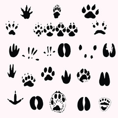 Animales new vector design