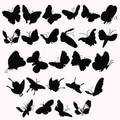 Animales new vector design