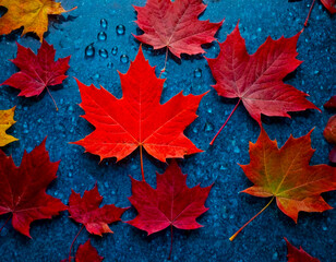 leaf