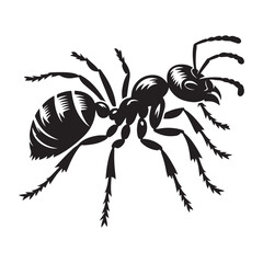 Ant black illustration design eps