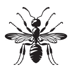 Ant black illustration design eps
