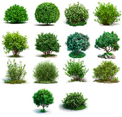 Fototapeta premium Set of summer green shrubs on transparent background