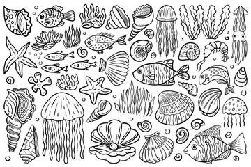 Line art illustrations of underwater creatures. Hand drawn outline fishes, shells, meduses, sea stars, sea plants and more. Aquatic vector illustrations with black thin line