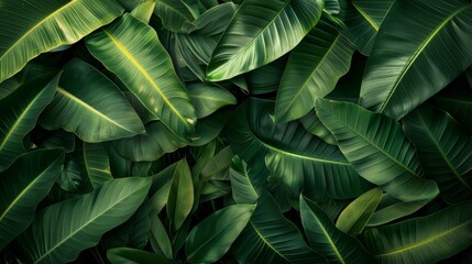 Exotic Natural Ambiance with Large Leaves Generative AI
