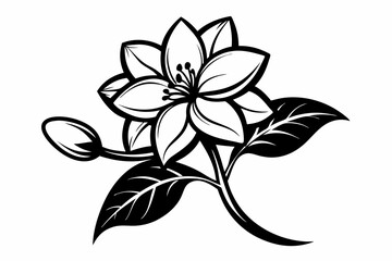 Line Art Jasmine Flower Black Silhouette,jasmine flower, black silhouette, line art, flower silhouette, jasmine vector, floral design, black and white, minimalist flower, botanical art.