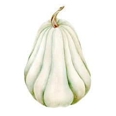 Green pumpkin, in feather colors. Halloween and harvest festival illustration. Suitable for textiles, scrapbooking, wrapping paper, cards and invitations.