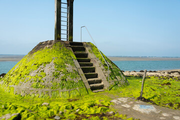 Algue verte, Ulva armoricana, Passage du Gois, baie de Bourgneuf, île de Noirmoutier, Vendée, 85,...
