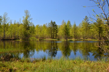 View of a forest lake in Western Europe on bright day under the blue sky