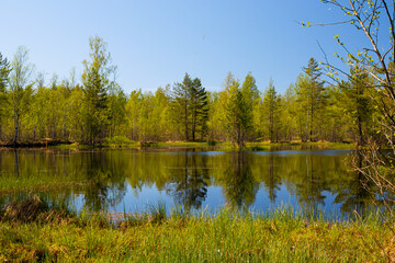 View of a forest lake in Western Europe on bright day under the blue sky