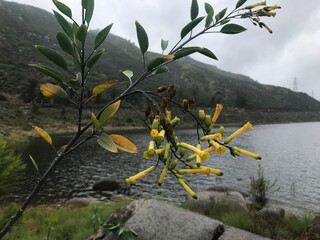 autumn in the mountains