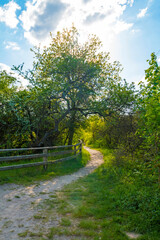 Jezioro Turkusowe (Turquoise Lake) is a beautiful natural attraction located near Międzyzdroje in the Wolin National Park, Poland. 